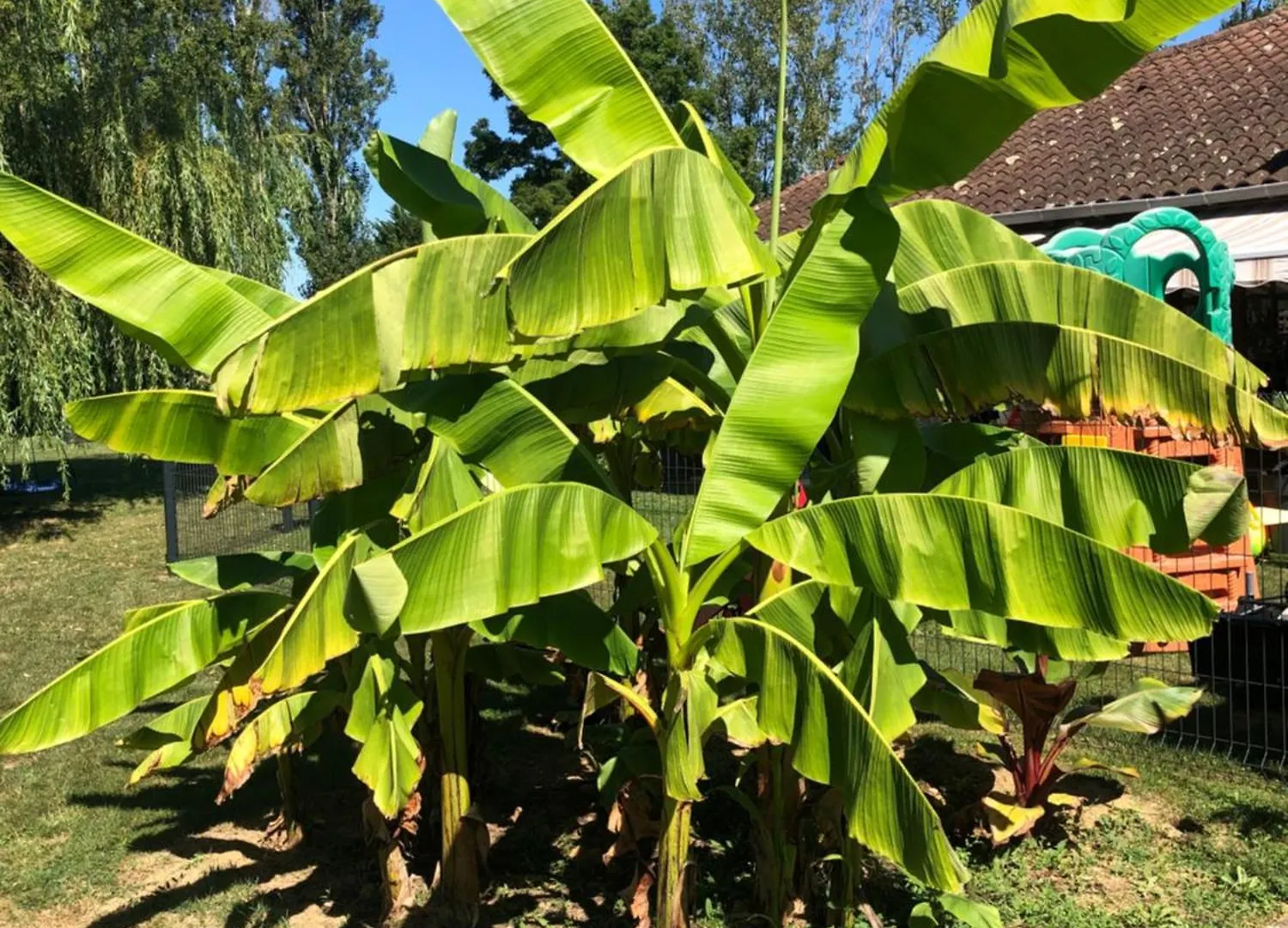 ***  Parc De La Charmille Bed & Breakfast Saint-Etienne-sur-Reyssouze France