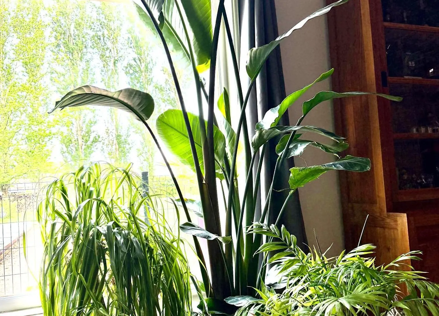 Parc De La Charmille Bed & Breakfast Saint-Etienne-sur-Reyssouze
