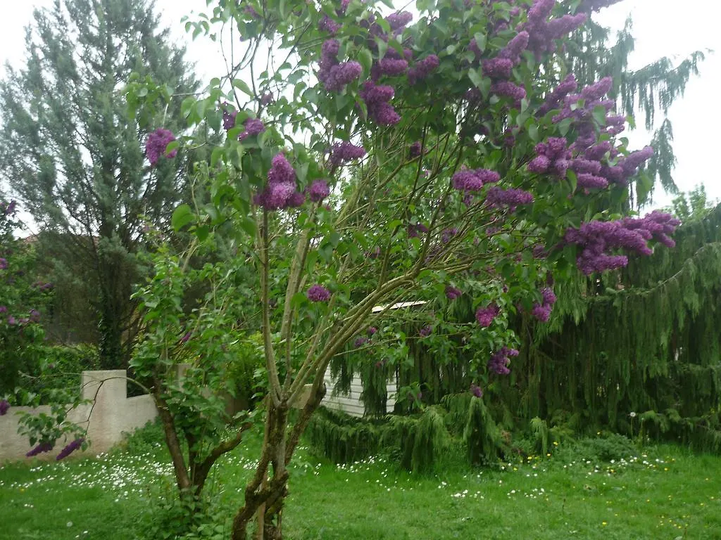 Parc De La Charmille Bed & Breakfast Saint-Etienne-sur-Reyssouze